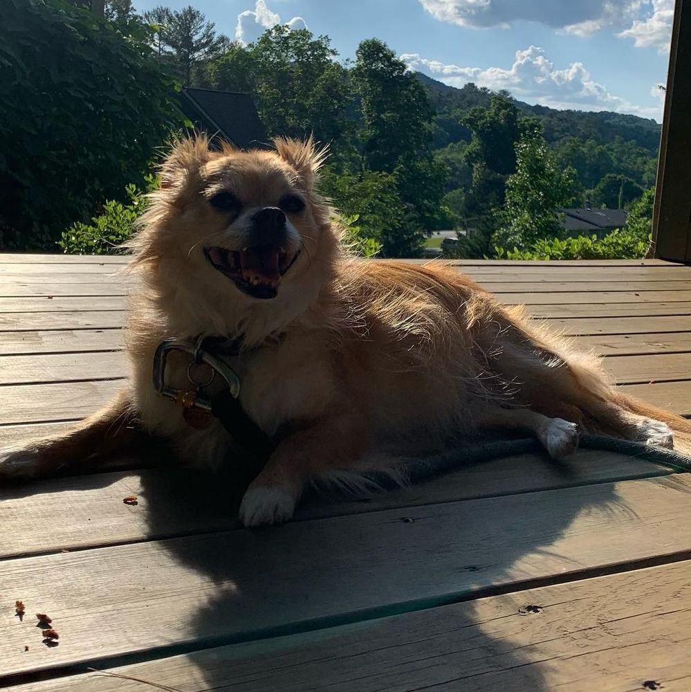 Meet your Posher, Kelly